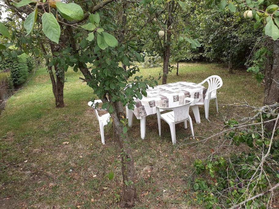 Gite Des Vergers "Les Pommiers" Saint-Pierre-du-Regard Extérieur photo